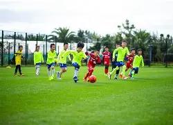 荣耀瞬间,刘殿座一鸣,惊人,乐鱼体育,LeYu,Sports,乐鱼体育官网,乐鱼体育官网,乐鱼体育下载