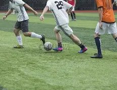 乐鱼体育,资讯,LeYu,乐鱼体育,LeYu,Sports,乐鱼体育官网,乐鱼体育官网,乐鱼体育下载