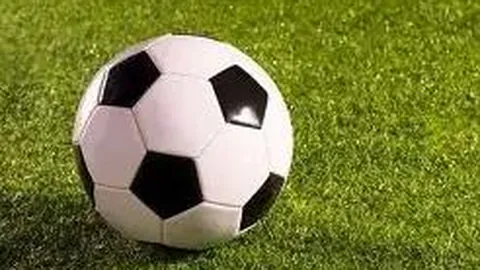 乐鱼体育 资讯 175400 fuq