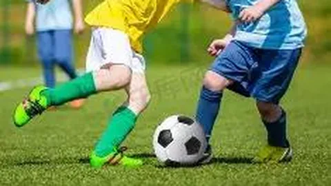 乐鱼体育 资讯 175428 lzm