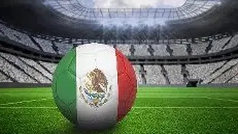 乐鱼体育 资讯 175525 mg9