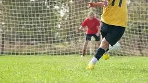 乐鱼体育 资讯 175505 a9m