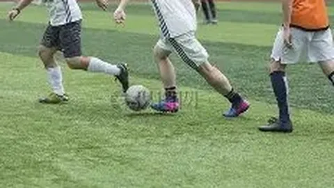 乐鱼体育 资讯 085829 w7k